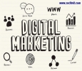 Best digital business marketing solutions in Chandigarh | Mo